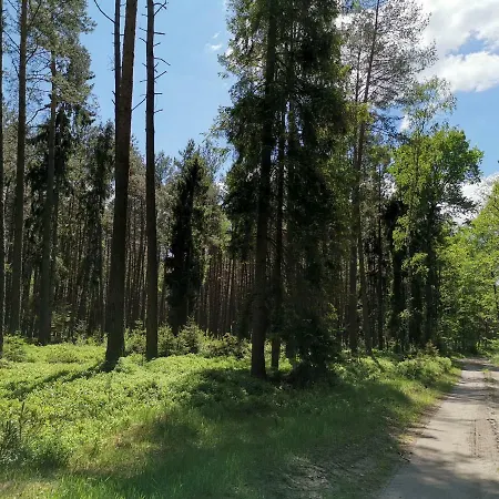 Holiday home Dom Letniskowy Pod Strzecha